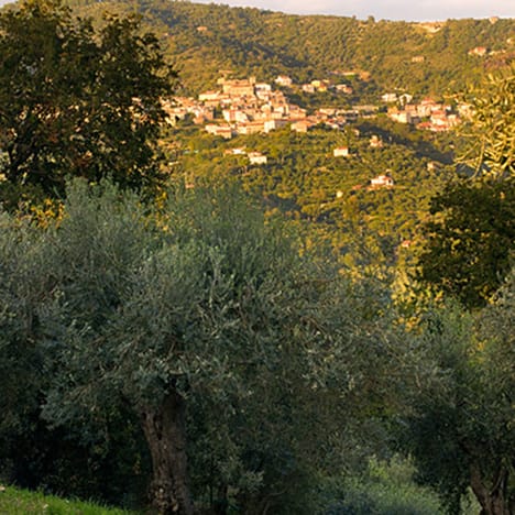 Panorama-Foto von der Landschaft